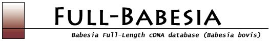 Babesia Full-Length cDNA Database(Babesia bovis)