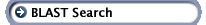Blast Search