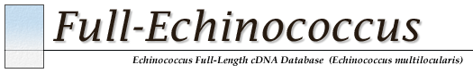 Echinococcosis Full-Length cDNA Database(Echinococcus multilocularis)